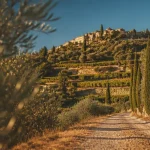 La motte cote d azur : village provençal entre vignes et gorges de Pennafort
