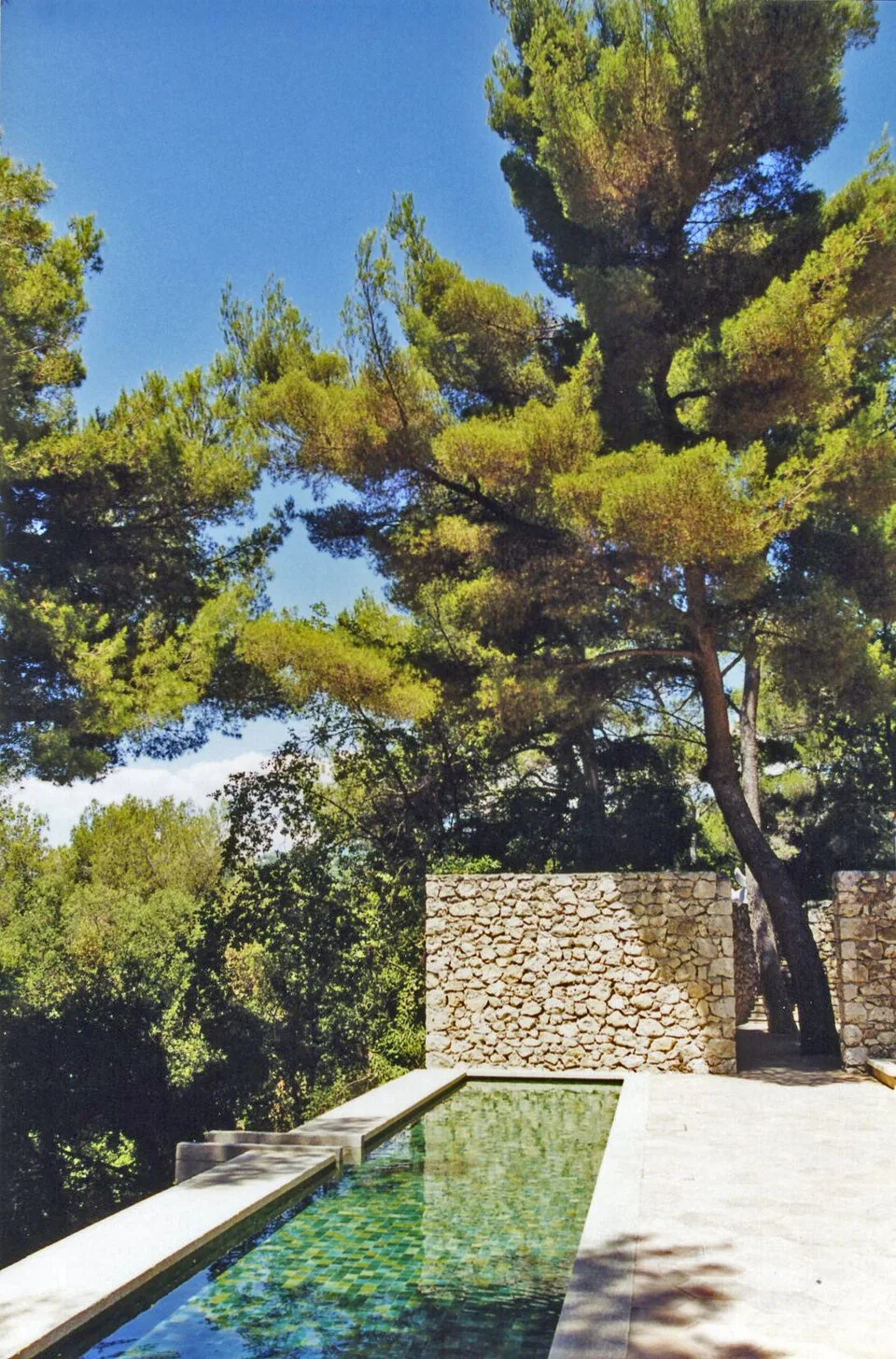 Pins et bassin dans les jardins de la Fondation Maeght