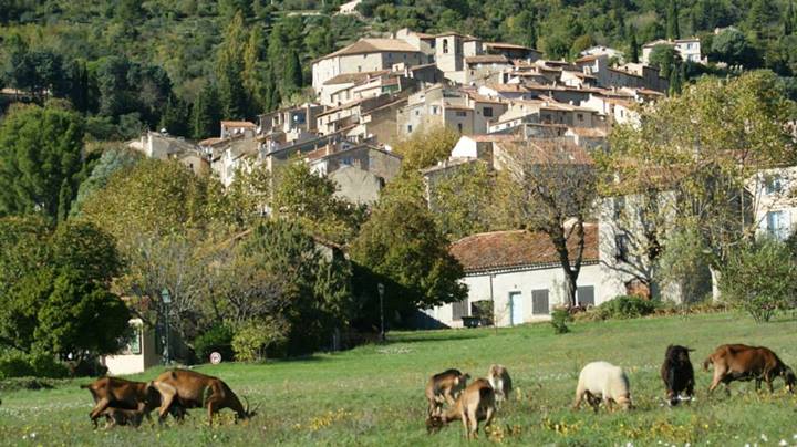 Vue du patrimoine de Seillans
