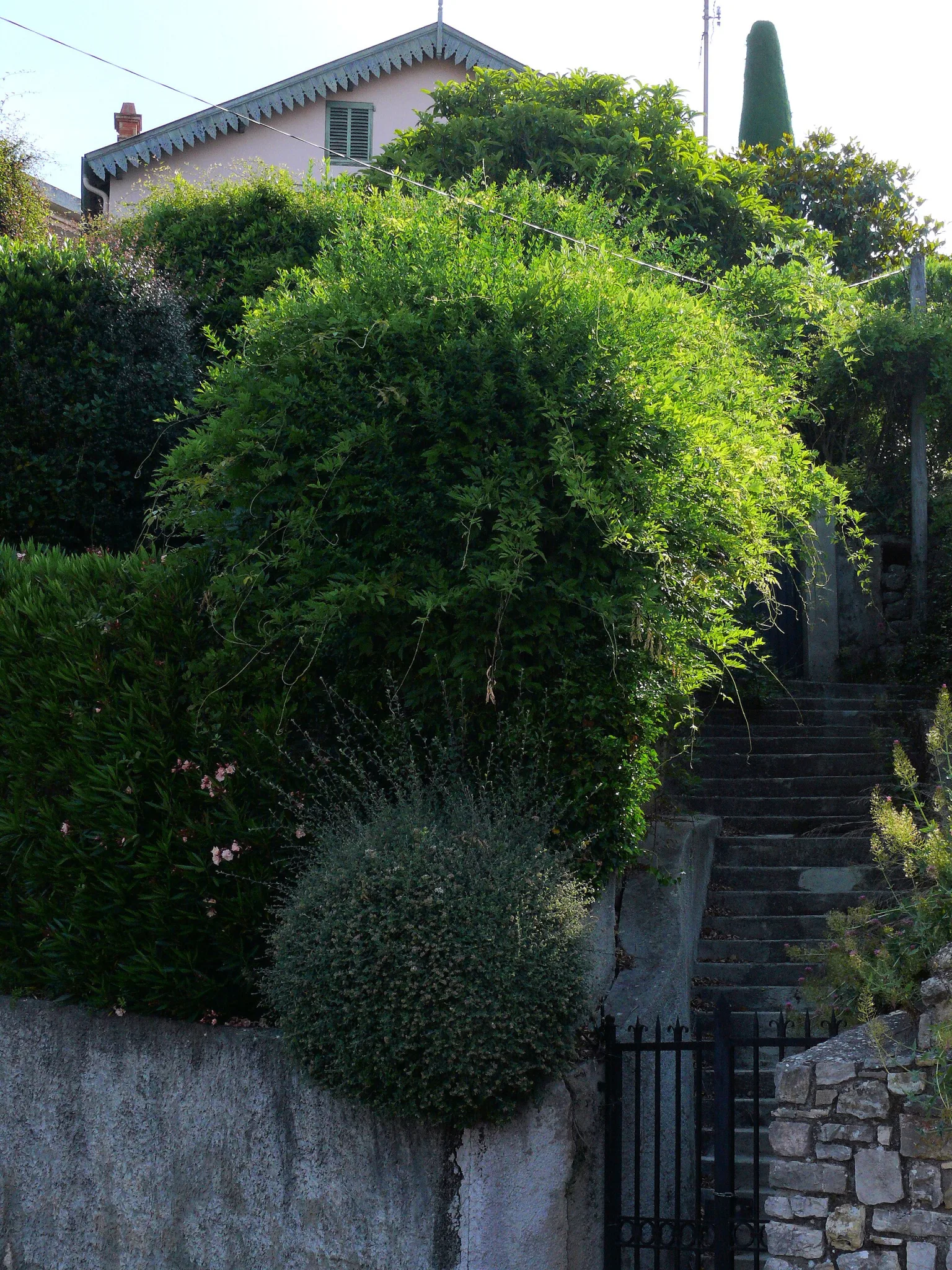 villa Le Bosquet
